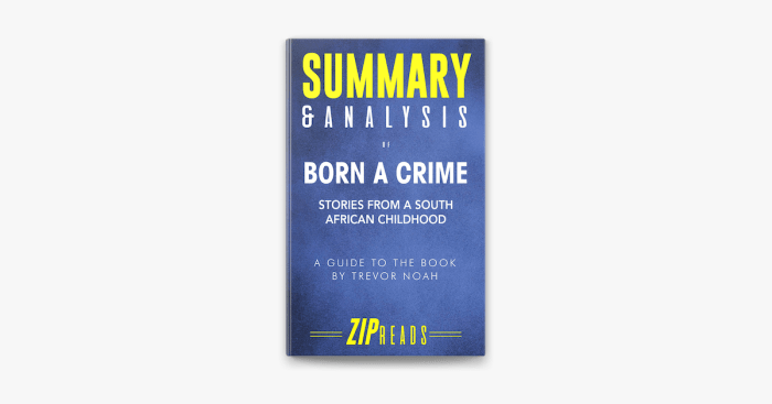 Born a crime chapter 15 summary