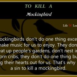 Mockingbird kill analysis critical theory lens race through