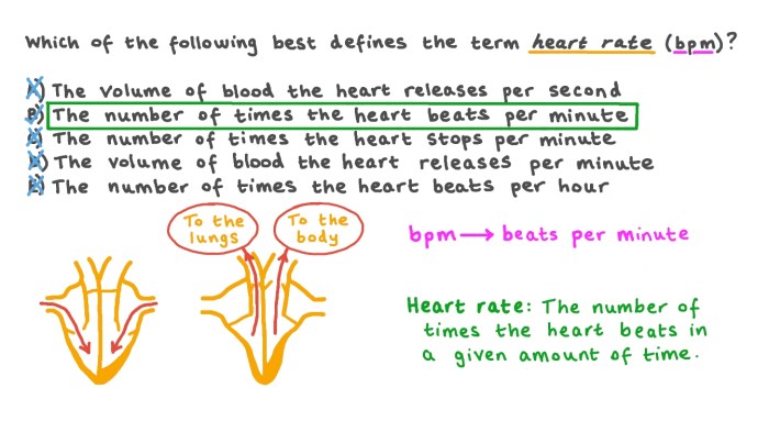 Peng is experiencing an increased heart rate